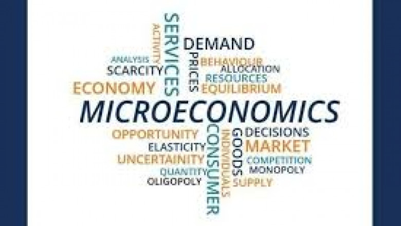 How to Choose Affordable Microeconomics Assignment Help?