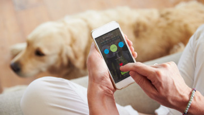 Manage Your Dog Walking or Dog Sitting Business with Pet Sitting Software