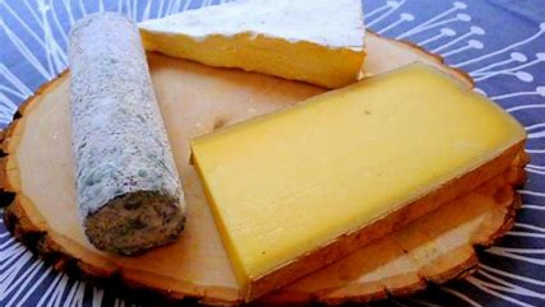 Vegan Cheese Market 2022 Global Trends, Size and Forecast Report to 2028