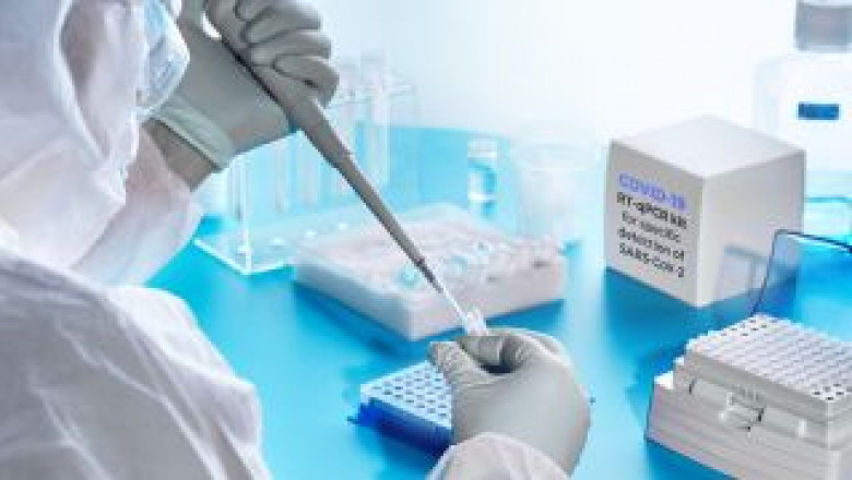 Viral Testing Market Size, Share, Growth | Analysis by 2029