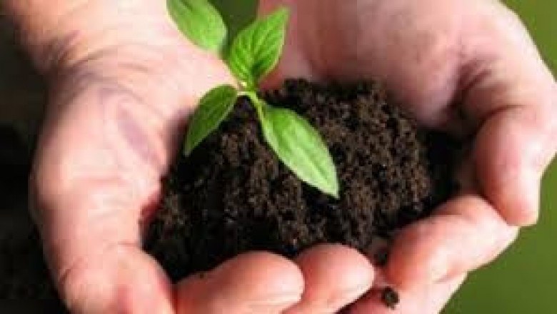 Biofertilizers Market Future Scope, Growth, Market Overview 2022 to 2028
