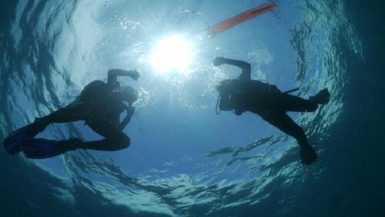 Cenote Diving | Godivemexico.com