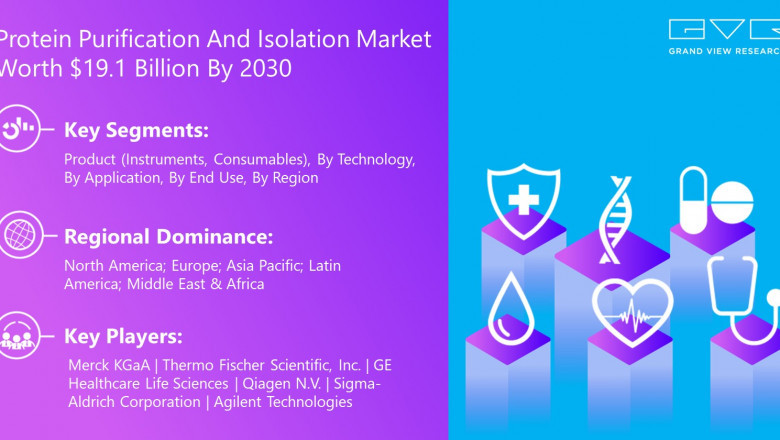 Protein Purification And Isolation Market Key Players, Industry Share, Growth, And Forecast To 2030