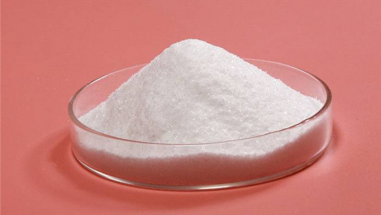 Succinic Acid is Found in Some Biodegradable Polymers That Have the Potential to be Used in Tissue Engineering