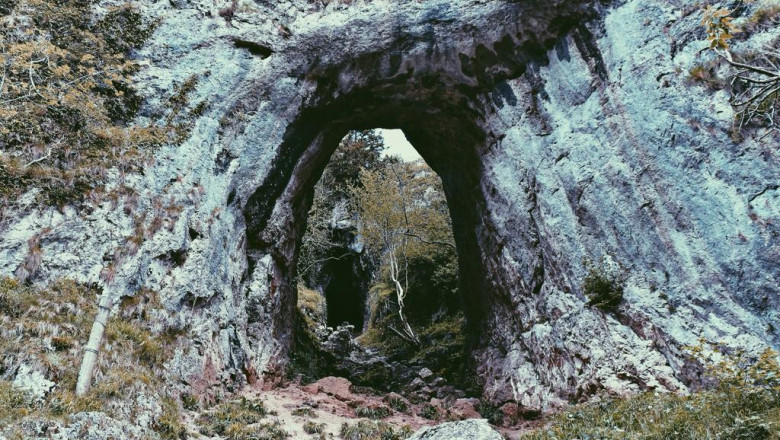9 signs youre a bradina phoremata peiraias expert