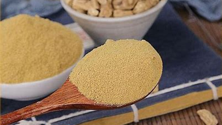 Dang Shen Powder Market Trends and Forecast Report to 2028