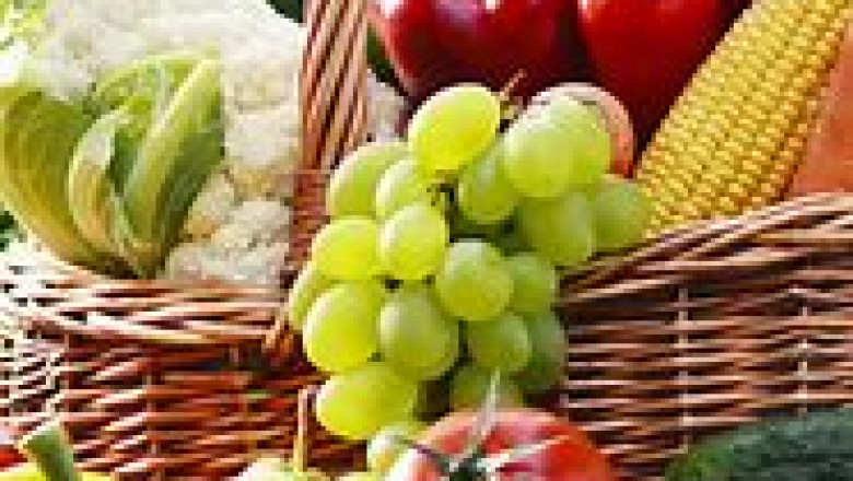 Genetically Modified (GMO) Food Market 2022 Global Trends, Size and Forecast Report to 2028