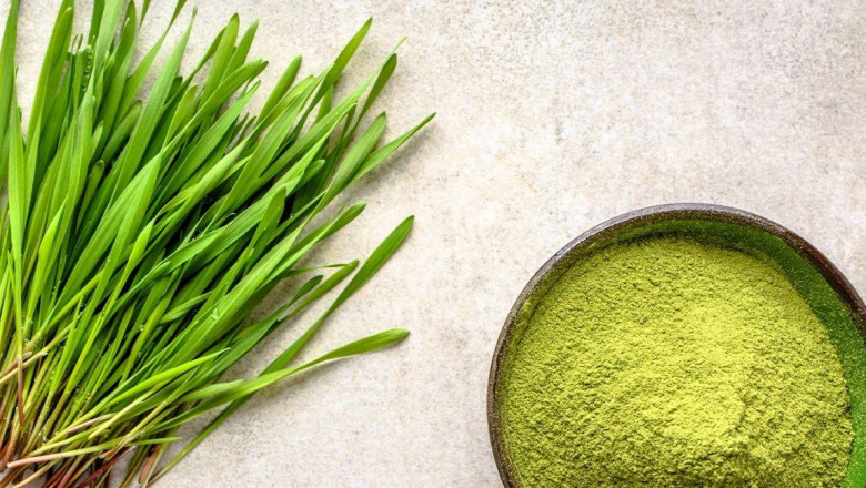 Global Barley Grass Market Regional Analysis