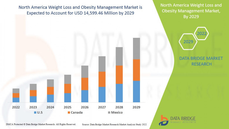 North America Weight Loss and Obesity Management Market Size & Growth | Analysis & Forecast