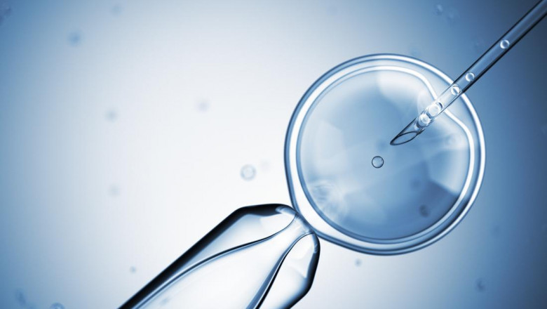 Artificial Insemination Market Size to Hit New profit-making Growth By 2030