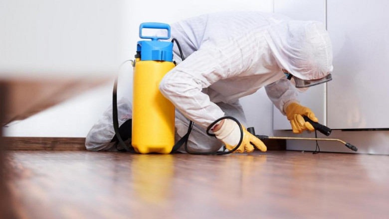 Disinfectants: What Your Cleaning up Business Needs to Know