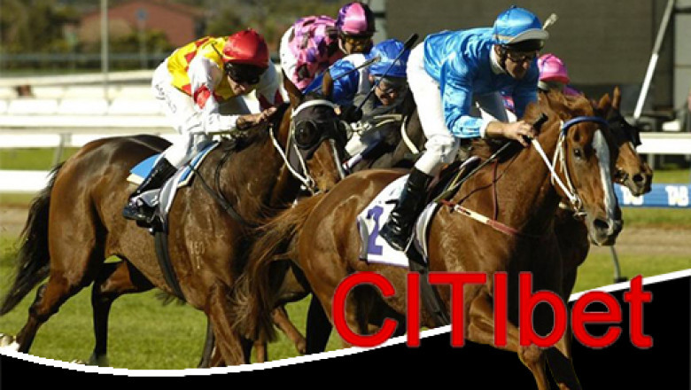 Insights regarding Web based Wagering Games You Ought to Be aware