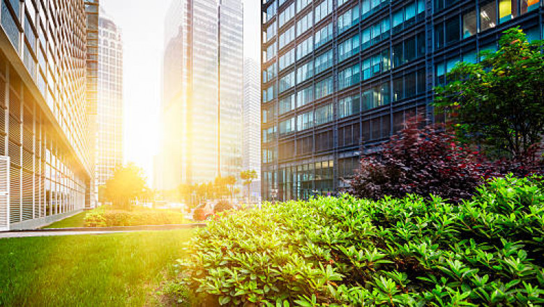 Commercial Landscaping in Melbourne | GardenMore Landscaping
