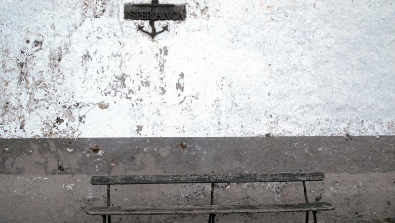 5 vines about coffee table that you need to see