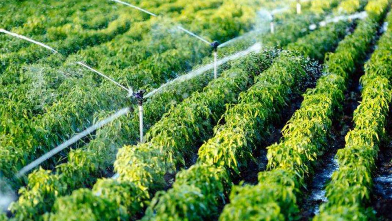 Micro Irrigation Systems Market Competitive Insights and Precise Outlook 2020-2027