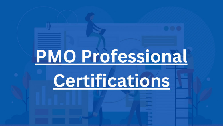What is a Project Management Professional Certification (PMO)?