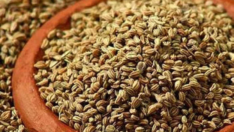 Carom Seed Market 2022 | Top Key Players Analysis Report Till 2028