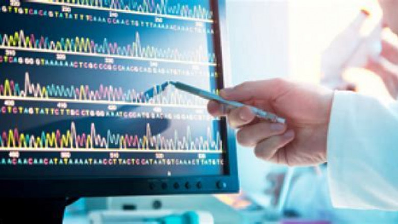 Sanger Sequencing Service Market 2022 Global Impact of COVID-19 on Industry, Share, Growth, Trends, Analysis by Top Key Player and Forecast till 2028