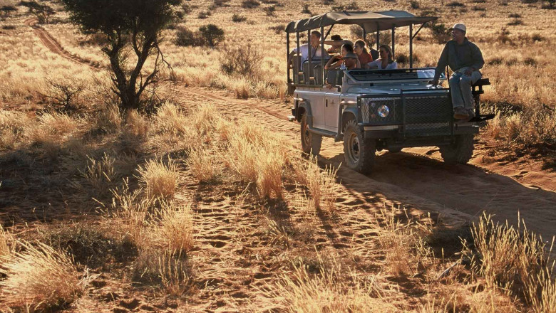 Sunset Behind The Sand – A Safari In Kalahari
