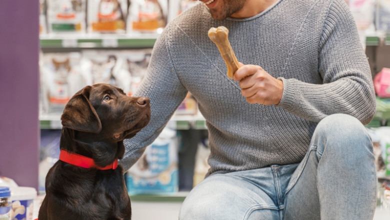 Top Tips for Using a Dog Whistle to Train Your Puppy