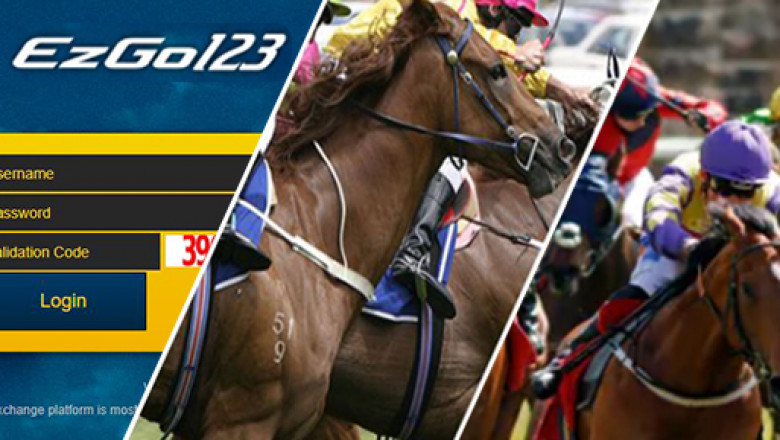 Why place a Bet on Horses?