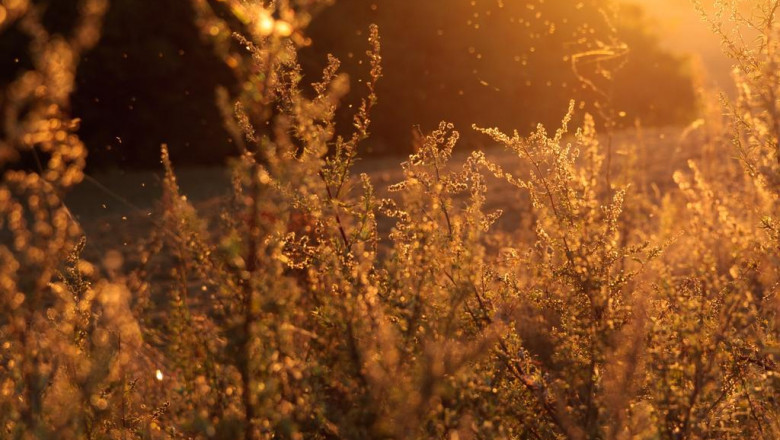 15 undeniable reasons to love home air conditioner