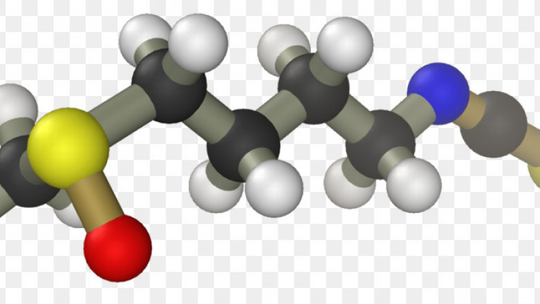 The Food Sector Uses Organosulfur Compounds As Additives And Preservatives