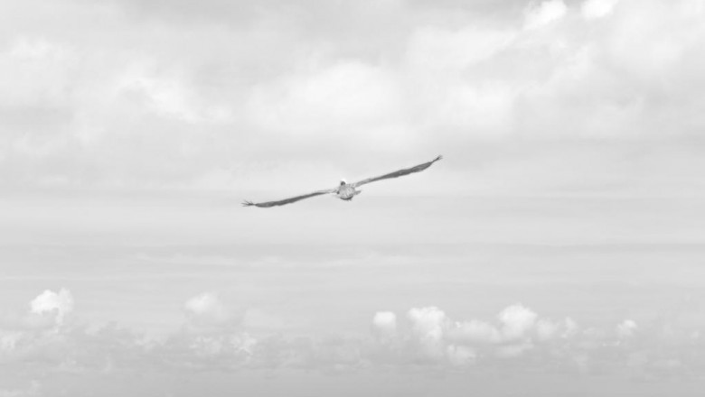 11 ways to completely revamp your wind wing