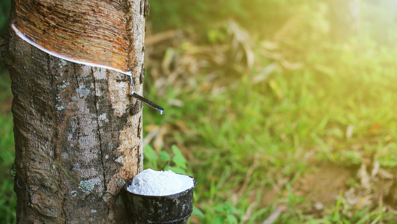 Natural Rubber Market Report 2026: Overview, Trends, Analysis, Demand and Key Players