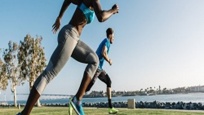 What Is The Purpose Of A Great Gym?