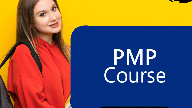 What are the Roles a PMP Certified Person can Take Up?