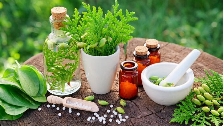 Comprehensive Detoxification - Fixing Your Well-Being