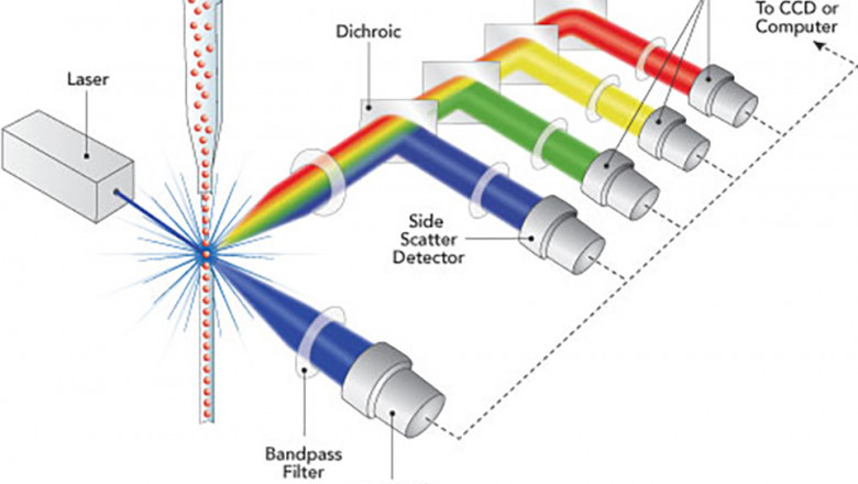 Flow Cytometry Market Trend, Forecast Analysis and Insights, 2019-2027