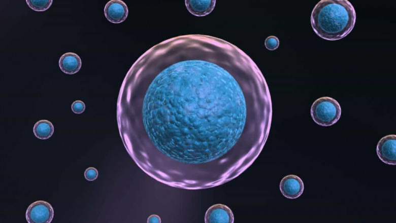 Stem Cell Therapy Clinic in Chicago | Giostar Chicago