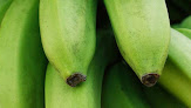 Get The Green Plantains At MIC Food