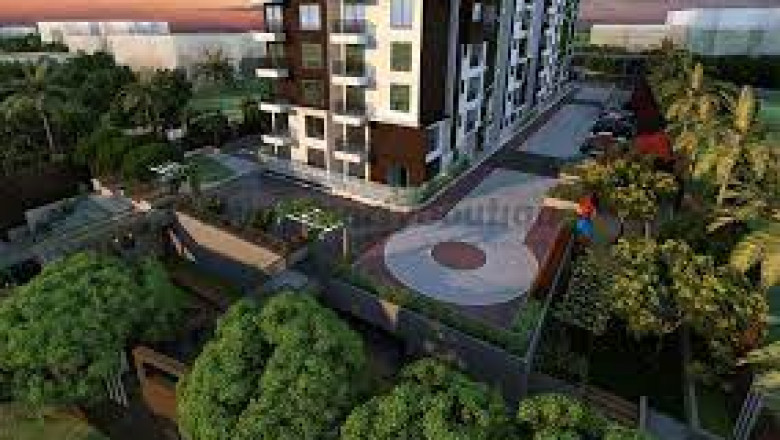 How to decorate your Apartments For Sale In Sarjapur Road with plants?