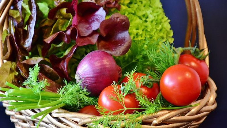 Diet Therapy For Weight Loss in Kandivali East
