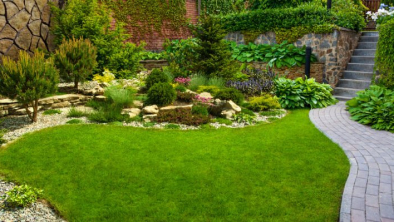 How Grading and Drainage Problems Can Ruin a Landscaped Yard