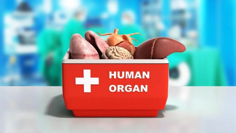 Organ Transplant Market Size, Share, Growth, Sales Revenue and Key Drivers Analysis Research Report by 2028