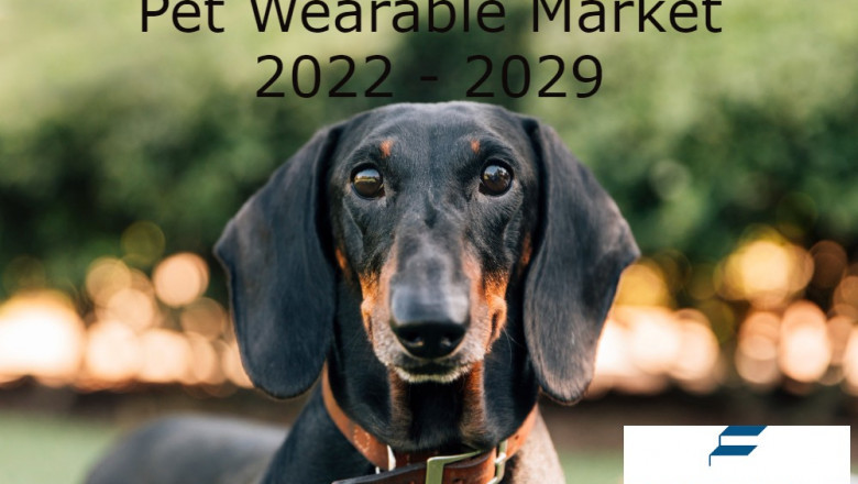 Pet Wearable Market Segmentation, Current and Future Forecasts To 2029