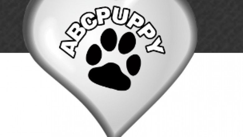 Toy Miniature Poodle Puppies For Sale Austin | Abcpuppy.com