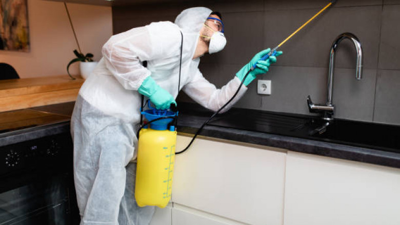 How to Remove Pests from Your Home in record Time