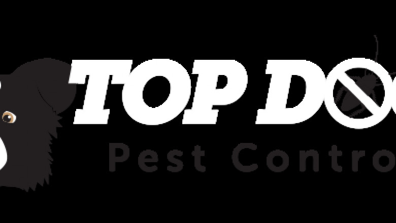What do you need to know about pet-friendly pest control methods?