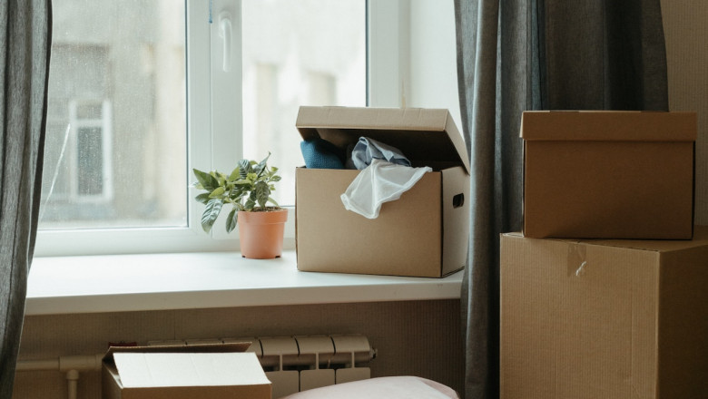 Relocating with Pets: 4 Essential Steps