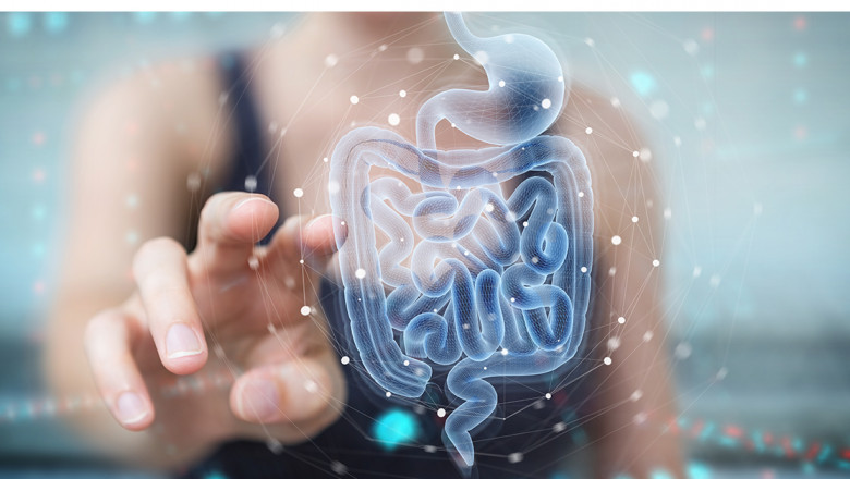 Gastrointestinal Rare Diseases Treatment Market Size, Status, Growth | Industry Analysis Report 2022-2028