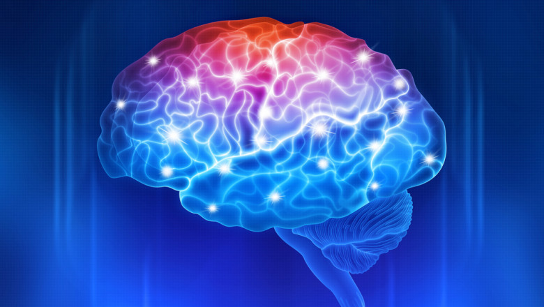 Neuroscience Is Evolving As A Result Of Ongoing Developments In Biology