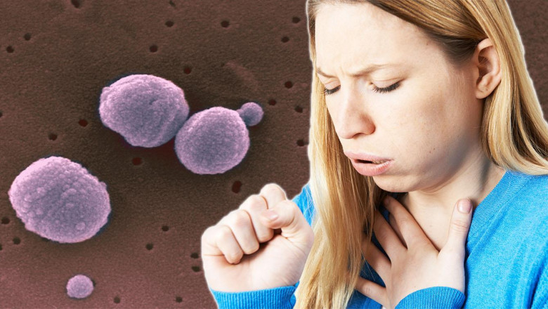 An analysis of the global Pharyngitis Therapeutics Market in 2022-2028, including trends, shares, sizes, growth, opportunities, and forecasts