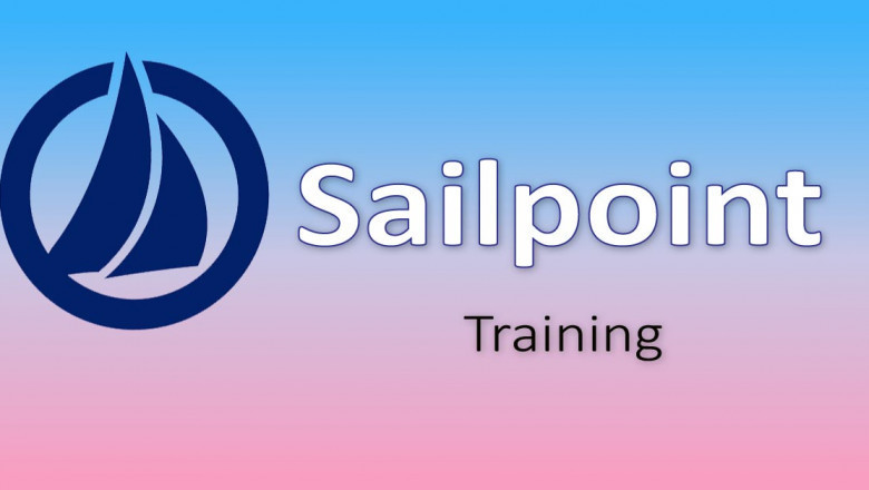 Hadoop developer or Sailpoint developer, which one has a better future