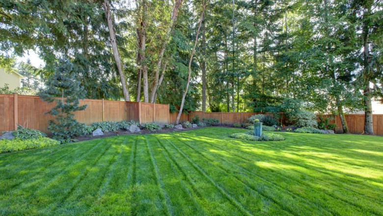 How to Hydroseed Your Lawn in Just a Few Days!