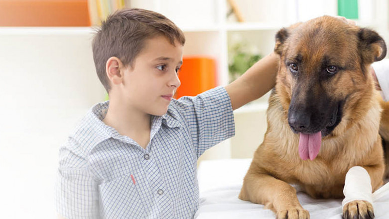 Know the Growth Restraints of Global Veterinary Pain Management Market, Forecast Analysis 2022-2028